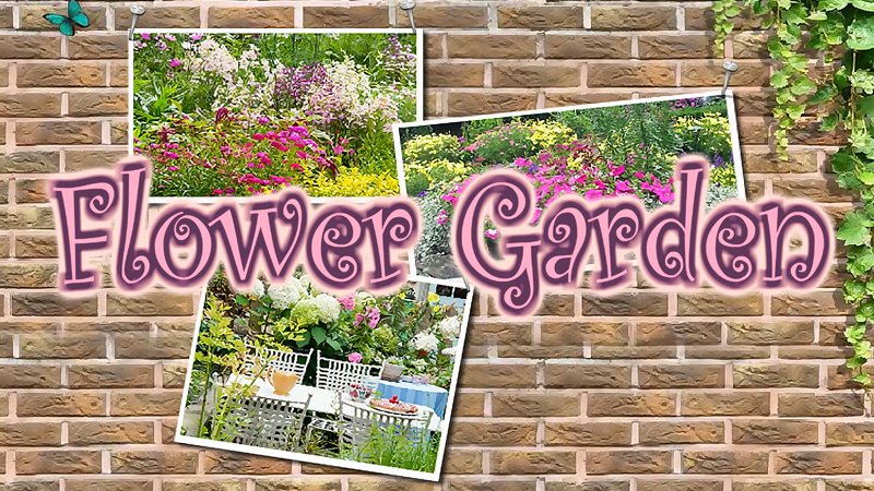 Image Flower Garden